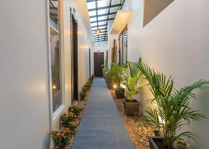 Ashia & Lounge 3* Siem Reap